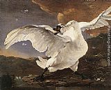 The Threatened Swan by Jan Asselyn